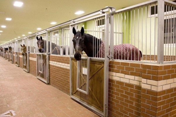 Padok Premium Hotel and Stables (Gökova)